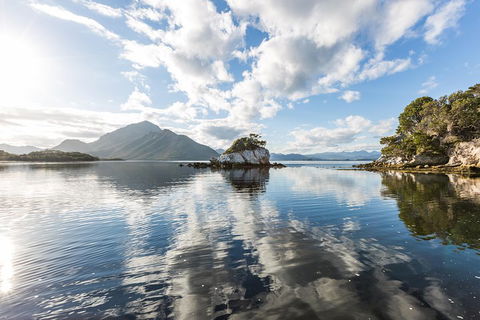 Southwest Tasmania Wilderness Experience: Fly Cruise And Walk Including Lunch - Surfers Paradise Gold Coast 5