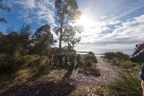 Bruny Island Day Tour, Includes Lunch And Exclusive Lighthouse Tour - Surfers Paradise Gold Coast 5