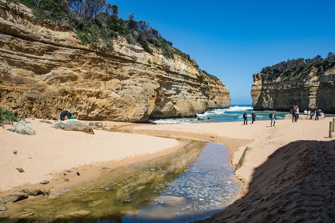 Great Ocean Road Reverse Itinerary With 12 Apostles From Melbourne - Surfers Paradise Gold Coast 2