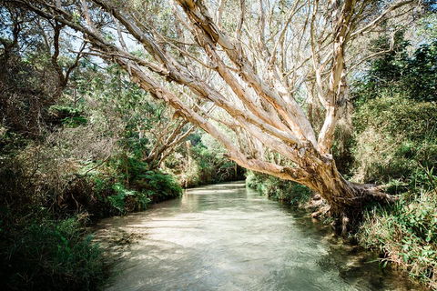 3-Day Fraser Island Resort Package - Surfers Paradise Gold Coast 5