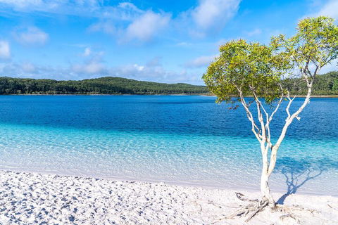 Lake McKenzie Full-Day Tour With Lunch From Hervey Bay - Surfers Paradise Gold Coast 1