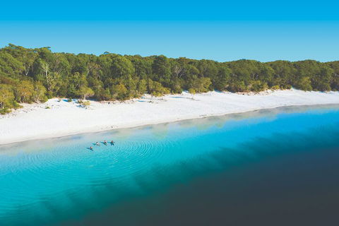 Lake McKenzie Full-Day Tour With Lunch From Hervey Bay - Surfers Paradise Gold Coast 4