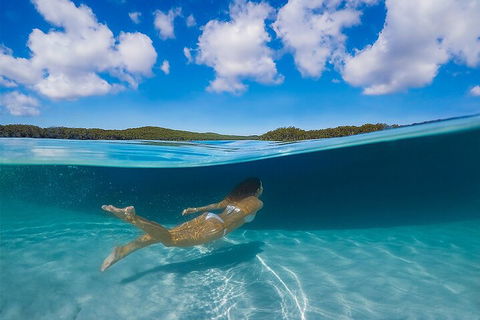Lake McKenzie Full-Day Tour With Lunch From Hervey Bay - Surfers Paradise Gold Coast 5