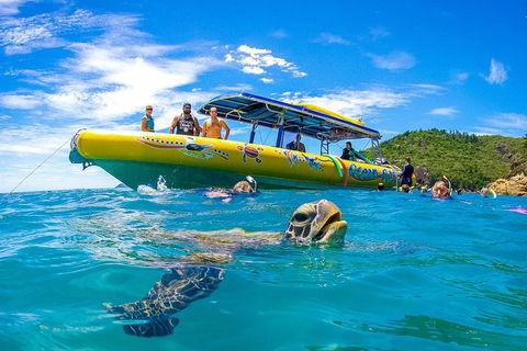 Great Barrier Reef Scenic Flight And Ocean Rafting Whitehaven Beach Day Trip - Surfers Paradise Gold Coast 1