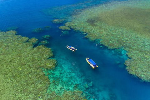 Great Barrier Reef Scenic Flight And Ocean Rafting Whitehaven Beach Day Trip - Surfers Paradise Gold Coast 4