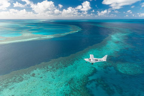 Scenic Flight - Great Barrier Reef, Heart Reef, Whitehaven Beach & Hill Inlet! - Surfers Paradise Gold Coast 3