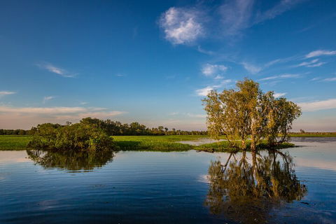 Darwin To Kakadu Day Trip By Air Including Yellow Water Cruise - Surfers Paradise Gold Coast 5