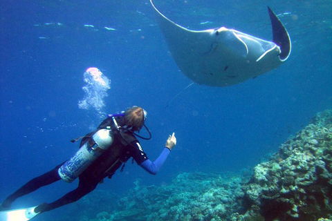 3 Day Whitsundays Sailing And Diving Adventure: Kiana - Surfers Paradise Gold Coast 3