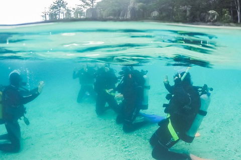 3 Day Whitsundays Sailing And Diving Adventure: Kiana - Surfers Paradise Gold Coast 4