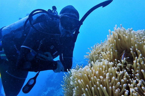 3 Day Whitsundays Sailing And Diving Adventure: Kiana - Surfers Paradise Gold Coast 5