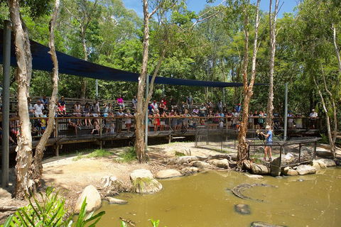 Hartley's Crocodile Adventures Breakfast With The Koalas - Surfers Paradise Gold Coast 1