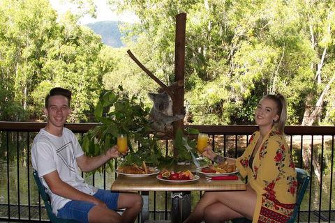 Hartley's Crocodile Adventures Breakfast With The Koalas - Surfers Paradise Gold Coast 5