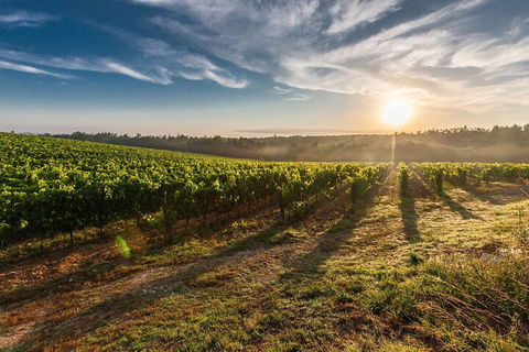 Perth To Margaret River Wine Tour - 2 Day Premium Boutique Wine Tour Experience - Surfers Paradise Gold Coast 0