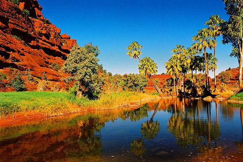 Palm Valley 4WD Day Tour - Surfers Paradise Gold Coast 2