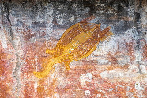 Kakadu Wilderness Escape - Top End Day Tour From Darwin - Surfers Paradise Gold Coast 2