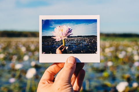 Kakadu Wilderness Escape - Top End Day Tour From Darwin - Surfers Paradise Gold Coast 3