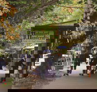 Adelaide Highlights Hahndorf  McLaren Vale Wine Tasting and Sightseeing Tour - Surfers Paradise Gold Coast