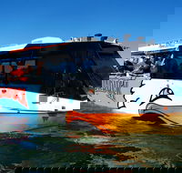 Express Jet Boat Ride  Aquaduck - Surfers Paradise Gold Coast
