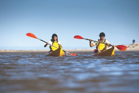 Kangaroo Island Self-Guided Kayaking On The Harriet River - Surfers Paradise Gold Coast 2