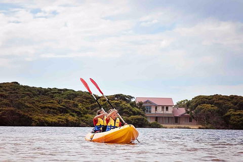 Kangaroo Island Self-Guided Kayaking On The Harriet River - Surfers Paradise Gold Coast 5