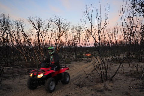 Kangaroo Island Quad Bike (ATV) Tours - Surfers Paradise Gold Coast 1