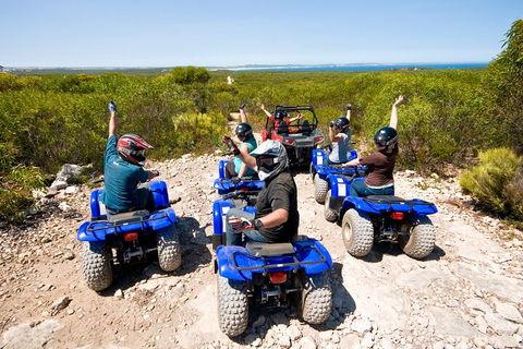 Kangaroo Island Quad Bike (ATV) Tours - Surfers Paradise Gold Coast 3