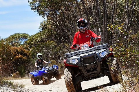 Kangaroo Island Quad Bike (ATV) Tours - Surfers Paradise Gold Coast 5