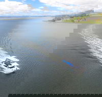 2.5 hour Afternoon Discovery Cruise including Cataract Gorge departs at 1 30 pm - Surfers Paradise Gold Coast