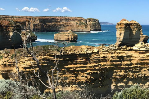 Great Ocean Road Reverse Itinerary Tour - Surfers Paradise Gold Coast 1