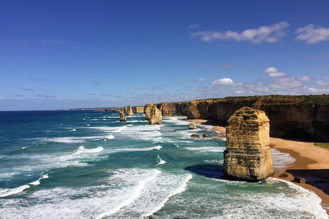 Great Ocean Road Reverse Itinerary Tour - Surfers Paradise Gold Coast 4