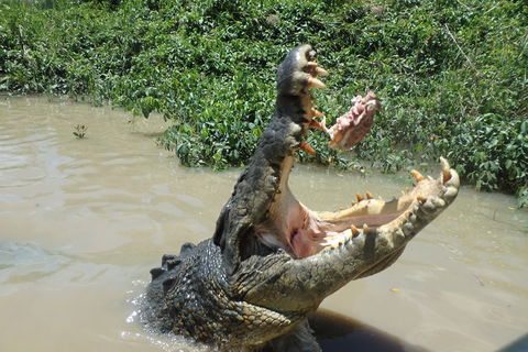 Litchfield And Jumping Crocodiles Full Day Trip From Darwin - Surfers Paradise Gold Coast 3