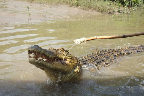 Litchfield And Jumping Crocodiles Full Day Trip From Darwin - Surfers Paradise Gold Coast 4