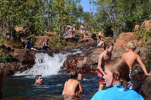 Litchfield And Jumping Crocodiles Full Day Trip From Darwin - Surfers Paradise Gold Coast 5