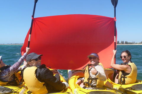 Seal Island And Penguin Island Or Point Peron Sea Kayak Tour - Surfers Paradise Gold Coast 2