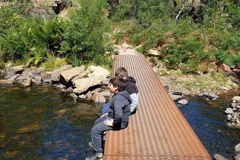 Grampians & Halls Gap - Surfers Paradise Gold Coast 2