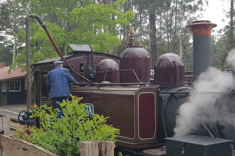 Dandenong Ranges And Rayners Orchard Tour From Melbourne - Surfers Paradise Gold Coast 1
