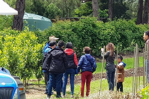 Dandenong Ranges And Rayners Orchard Tour From Melbourne - Surfers Paradise Gold Coast 4
