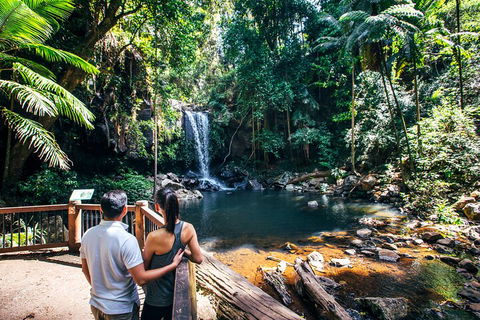 Aquaduck & Your Choice Of Gold Coast Rainforest Tour - Surfers Paradise Gold Coast 0