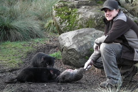 After Dark Tasmanian Devil Feeding Tour At Cradle Mountain - Surfers Paradise Gold Coast 2