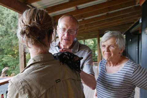 Sunset Experience - Surfers Paradise Gold Coast 1