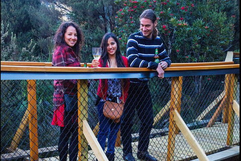 Sunset Experience - Surfers Paradise Gold Coast 2