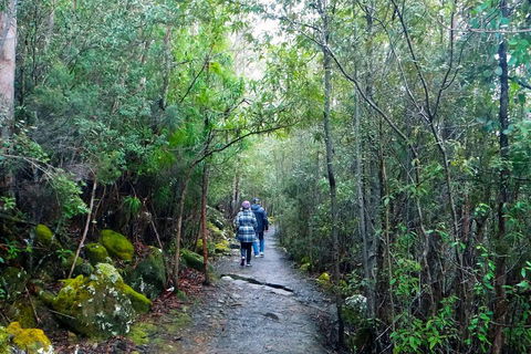 Kunanyi/Mt Wellington Tour & Hobart Hop-On Hop-Off Bus - Surfers Paradise Gold Coast 1
