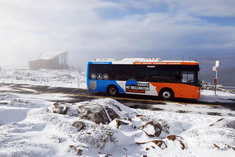 Kunanyi/Mt Wellington Tour & Hobart Hop-On Hop-Off Bus - Surfers Paradise Gold Coast 2