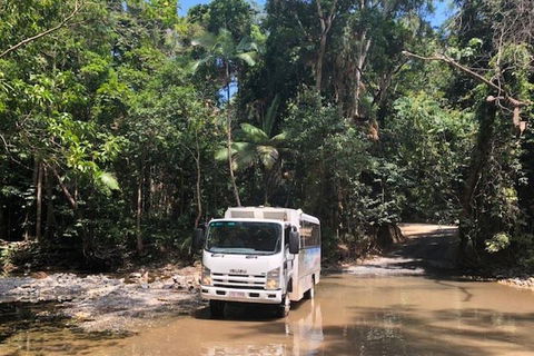 Cairns To Cooktown 4WD Tour - Surfers Paradise Gold Coast 5
