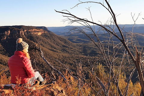 Ultimate Blue Mountains Waterfalls, Walks & Sunset PRIVATE Tour - Surfers Paradise Gold Coast 2