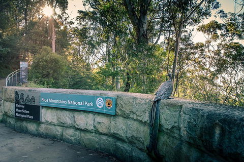 Ultimate Blue Mountains Waterfalls, Walks & Sunset PRIVATE Tour - Surfers Paradise Gold Coast 3