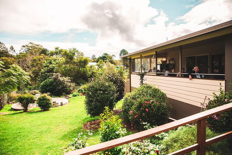 Full-day Springbrook National Park Tour From The Gold Coast - Surfers Paradise Gold Coast 2