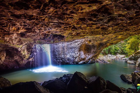 Full-day Springbrook National Park Tour From The Gold Coast - Surfers Paradise Gold Coast 3
