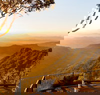 O'Reilly's  Lamington National Park incl. Alpaca Farm  Vineyard - Surfers Paradise Gold Coast