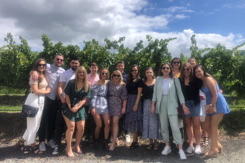 Yarra Valley Public Winery Tours - Surfers Paradise Gold Coast 3